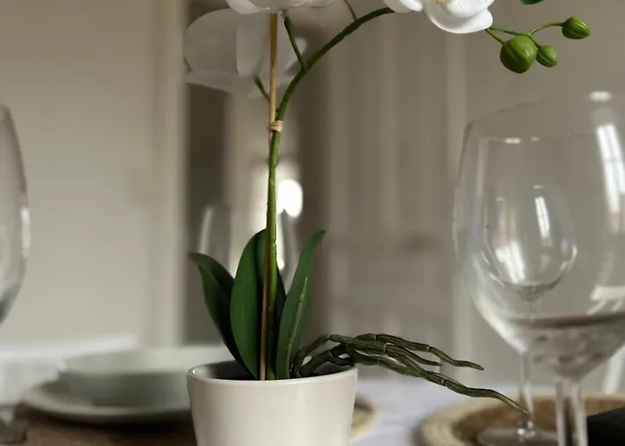 Le Petit Marbre - 10 Min A Pied De La Gare De *